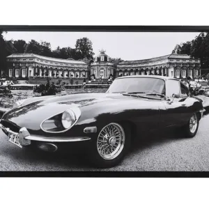 Jaguar E-TYPE štampana reprezentacija
